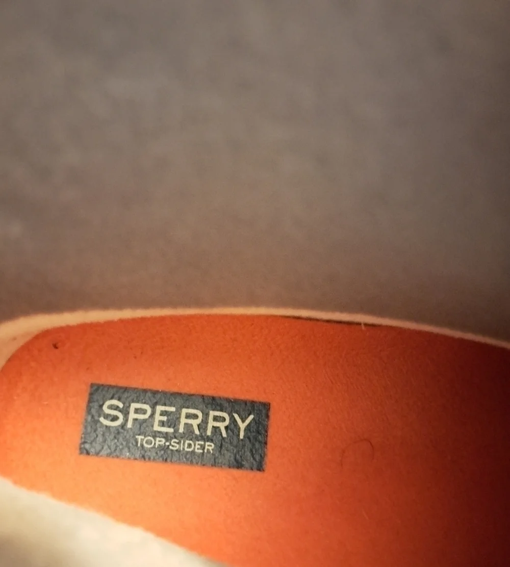 Sperry Top Sider Saltwater Boot